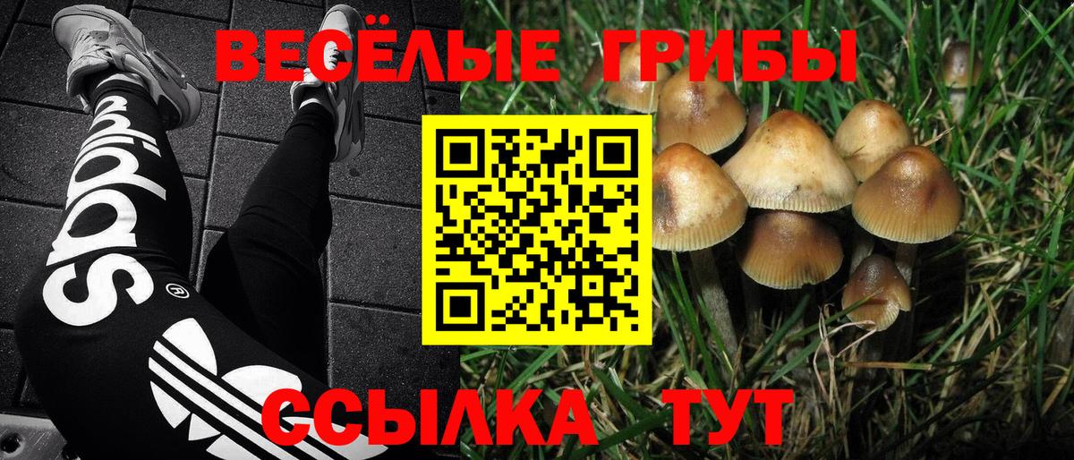 Псилоцибиновые грибы Cubensis  Псилоцибиновые грибы Cubensis  Янаул  Вход с VPN 